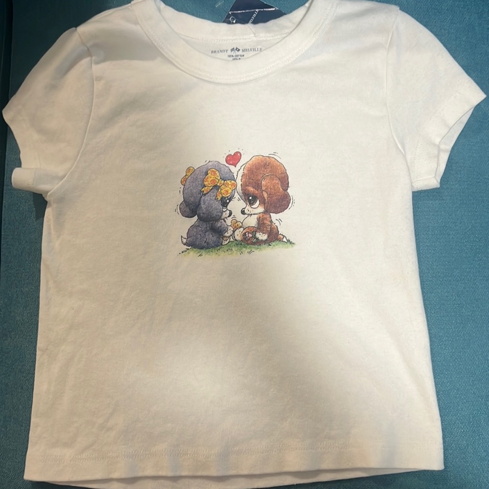 Rare Brandy Melville Ashlyn Puppy Crop Top